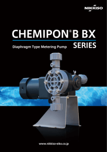 CHEMIPON®B BX