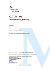 TAG Unit M2: variable demand modelling