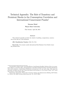 Technical Appendix: The Role of Transitory and Persistent Shocks in