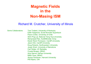 Magnetic Fields in the Non
