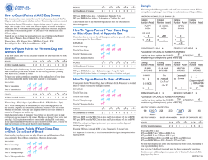 How to Count Points at AKC Dog Shows