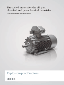 Explosion-proof motors LOHER