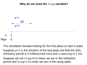 Why do we need the flag variable? i= 1 flag= 0 ISI The simulation