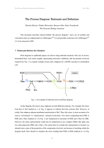 The Process Diagram