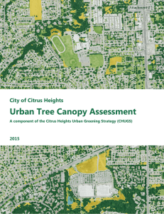Urban Tree Canopy Assessment