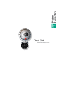 Dival 500 - Pietro Fiorentini