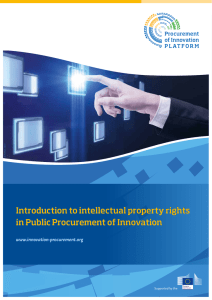 Intellectual Property Rights Guide
