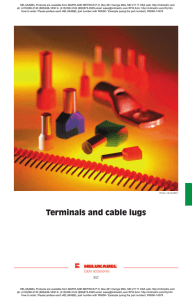 Terminals and cable lugs