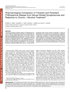 Pharmacological Comparison of Transient and Persistent [ H