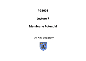 PG1005 Lecture 7 Membrane Potential