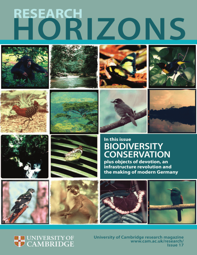 research horizons meaning