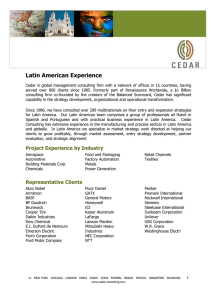 Latin American Experience - Cedar Management Consulting