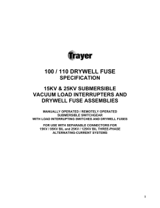 100 / 110 drywell fuse