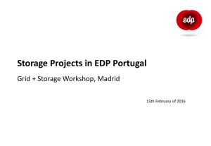 10b. National Storage Projects In Portugal Ricardo