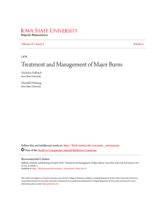 Treatment and Management of Major Burns