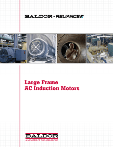 Large Frame AC Induction Motors