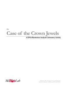 Case of the Crown Jewels