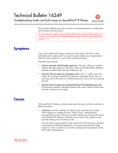 Troubleshooting Audio and Echo Issues on