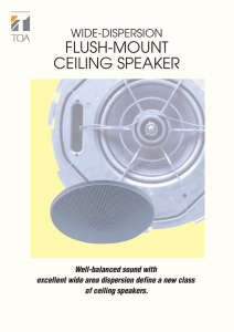 FLUSH-MOUNT CEILING SPEAKER