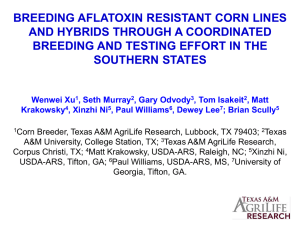 breeding aflatoxin resistant corn lines and hybrids through a