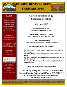 Carson County Ag News February 2015