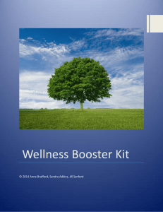 Wellness Booster Kit - American Bar Association