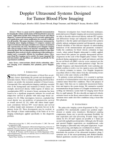 Doppler Ultrasound Systems Designed for Tumor Blood Flow Imaging