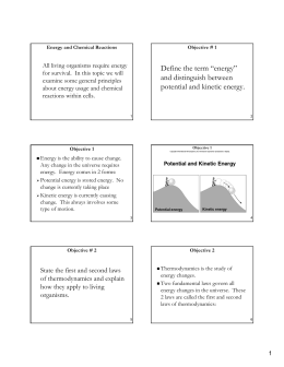 Biochemistry worksheet answer key