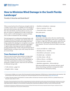 How to Minimize Wind Damage - EDIS