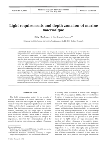 Light requirements and depth zonation of marine macr oalgae