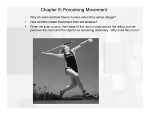 Chapter 9: Perceiving Movement