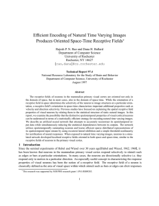 Efficient Encoding of Natural Time Varying Images Produces
