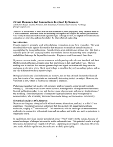 Circuit Elements And Connections Inspired By Neurons