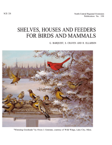 Shelves, Houses and Feeders for Birds and