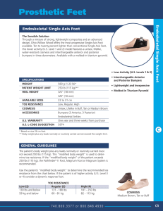 Endoskeletal Single Axis Foot