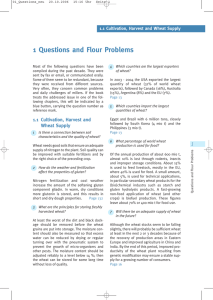 1 Questions and Flour Problems, (PDF 188 KB)