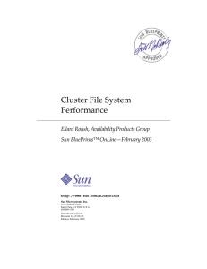 Cluster File System Performance - DESY