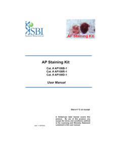 AP Staining Kit - System Biosciences