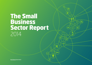 The Small Business Sector Report 2014