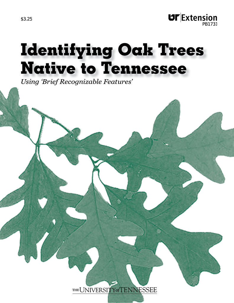 Types Of Oak Trees In Tennessee