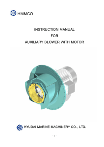 INSTRUCTION MANUAL FOR AUXILIARY BLOWER WITH MOTOR