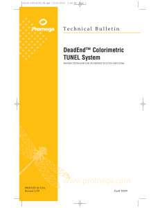 DeadEnd Colorimetric TUNEL System Technical Bulletin