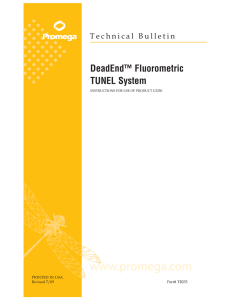 DeadEnd™ Fluorometric TUNEL System