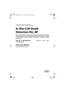 In Situ Cell Death Detection Kit, AP