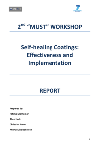 2 “MUST” WORKSHOP Self-healing Coatings: Effectiveness and