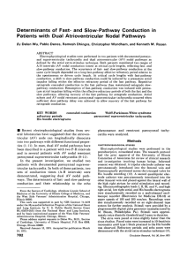 Determinants of Fast- and Slow-Pathway Conduction in Patients