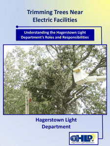 Trimming Trees Near Electric Facilities