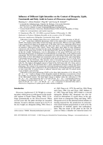 Influence of Different Light Intensities on the Content of Diosgenin