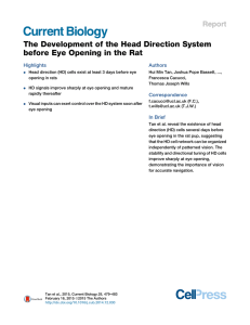 The Development of the Head Direction System before Eye Opening