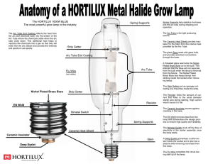 The HORTILUX 1000W BLUE The most powerful grow lamp in the